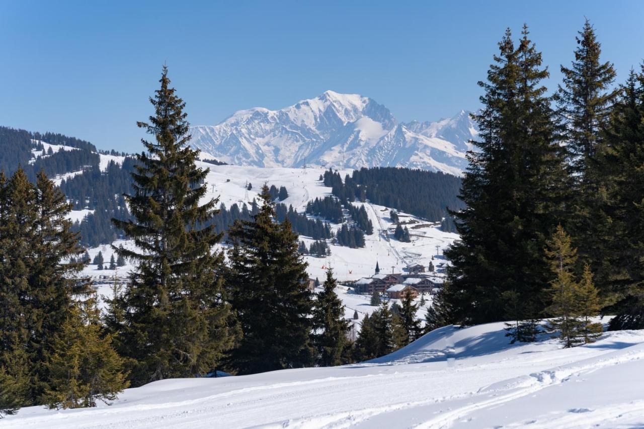 Les Saisies Appart 1 Chambre Au Pied Des Pistes מראה חיצוני תמונה